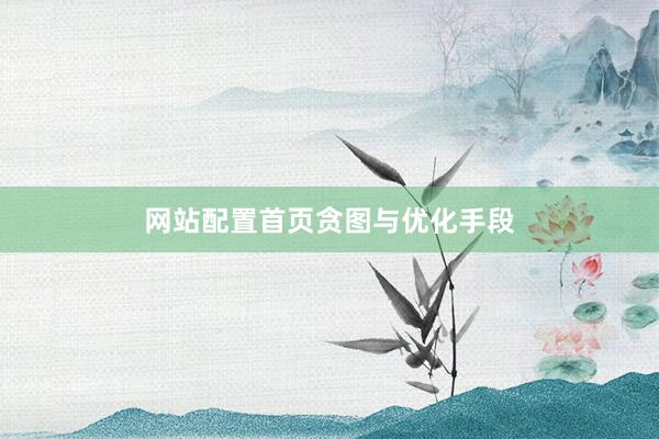 网站配置首页贪图与优化手段