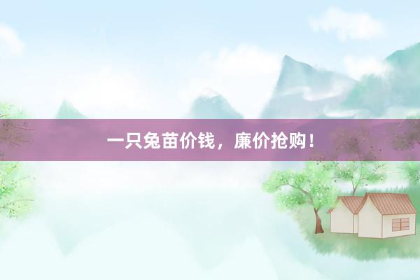 一只兔苗价钱，廉价抢购！